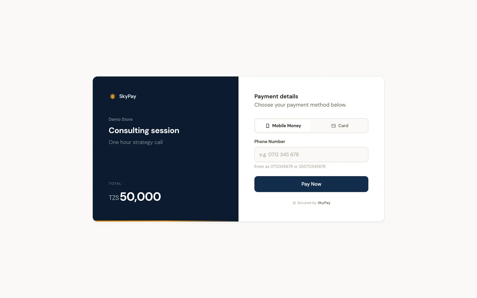The SkyPay hosted checkout page for a payment link, at desktop width