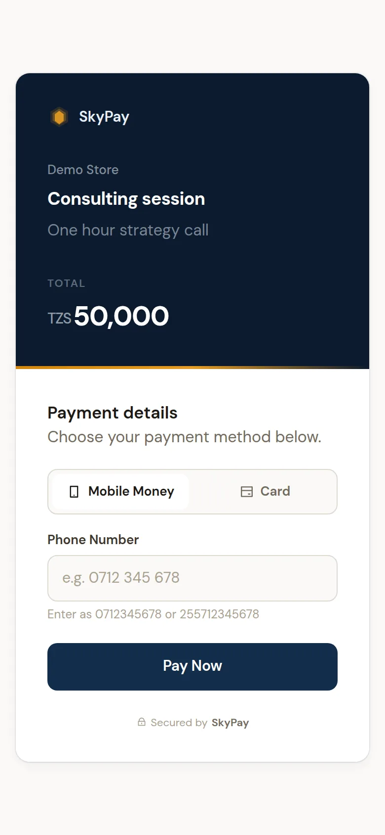 The SkyPay hosted checkout page for a payment link, on a phone
